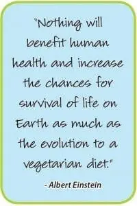 Nothing will benefit human health and increase the chances for survival of life on Earth as much as the evolution to a vegetarian diet." - Albert Einstein