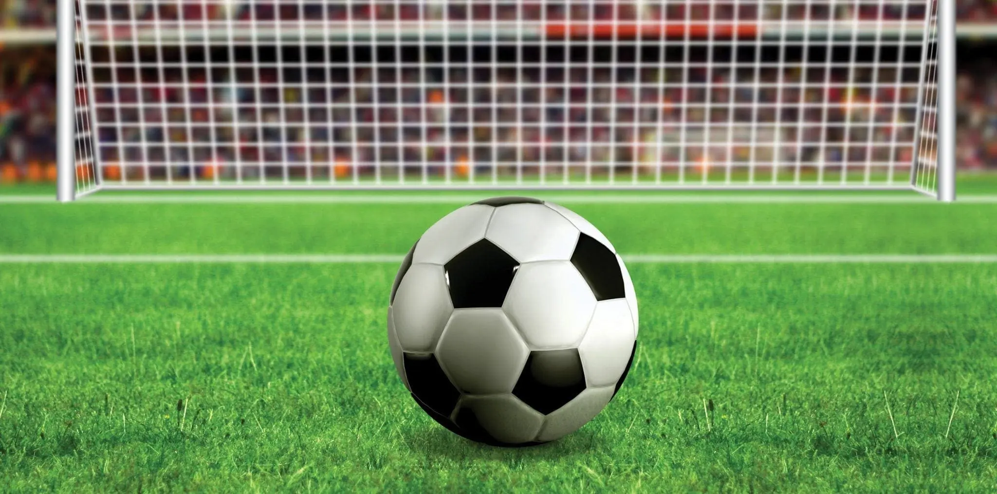 Soccer ball on grass in front of goal