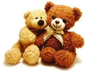 Two teddy bears, one light brown and one dark brown, are sitting together.