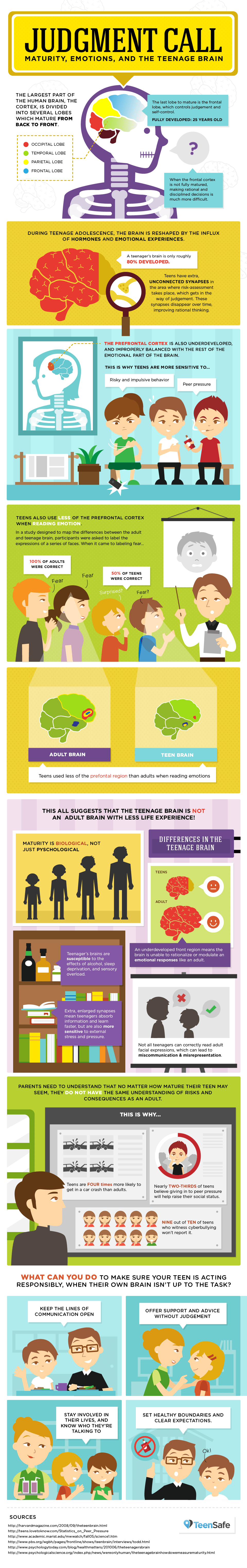 Infographic illustrating factors influencing teenage judgment and brain development.