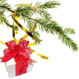 A white gift box with a red ribbon and bow hangs from a pine branch with gold ribbon.