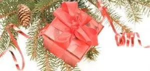 The Gift of a Limb