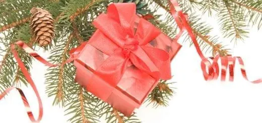 The Gift of a Limb