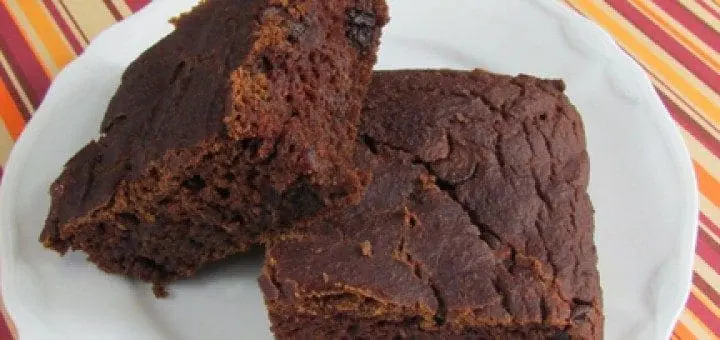 Chocolate-Pumpkin Gingerbread (GFCFSF and Vegan)