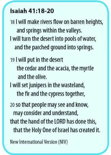 Isaiah 41:18-20 from the New International Version Bible.