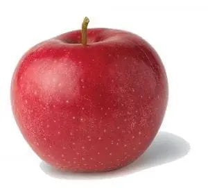 A red apple with a stem on a white background.