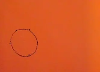 A circle is drawn with crayon on orange paper.