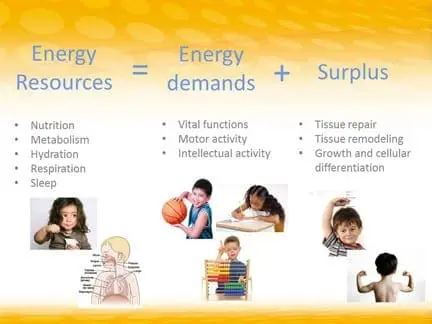 Diagram illustrating energy resources, demands, and surplus with corresponding activities and biological functions.