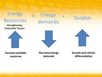 Diagram showing that increasing energy resources and decreasing energy demands leads to surplus for growth.