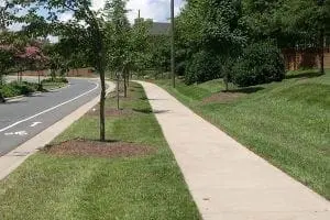 A concrete sidewalk runs alongside a road and a grassy hill with trees.