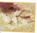 Turkey Quesadillas & Cran-Apple Sauce 1