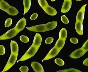 Different Types of Soy Products: Are They Safe for Children?