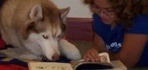 How Can My Child Be Independent?