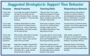 Table with suggested strategies to support teen behavior, categorized by purpose, being proactive, teaching skills, and responding to behavior.