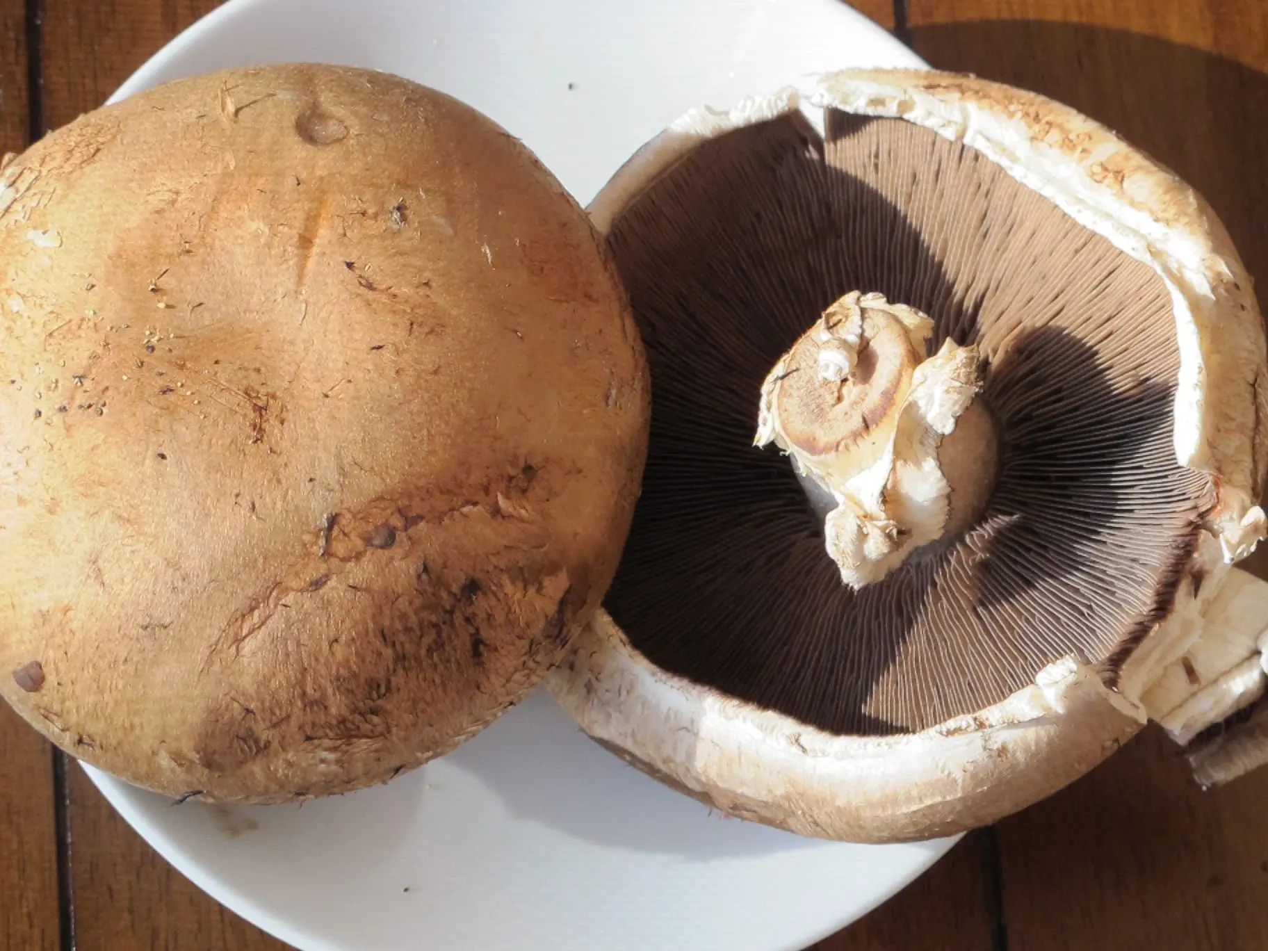 Two portobello mushrooms on a white plate, one whole and one cut in half to show gills.