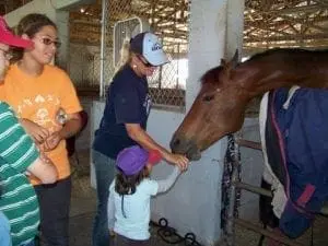 A woman in a blue shirt and hat feeds a horse while a young child and two other people watch.