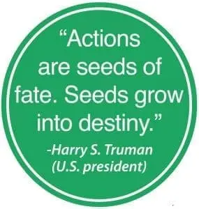 Actions are seeds of fate. Seeds grow into destiny." - Harry S. Truman