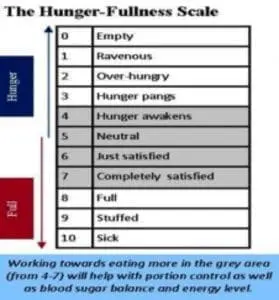 The Hunger-Fullness Scale with levels 0-10 ranging from Empty to Sick.