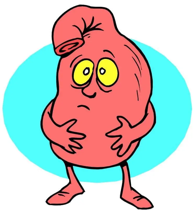 Cartoon of a pink, distressed-looking digestive organ with yellow eyes and hands on its stomach.