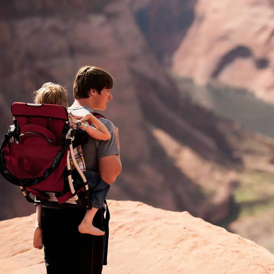 Father carrying a child in a backpack carrier on a hike.