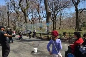 A man creates large bubbles in a park while a child in a wheelchair watches.