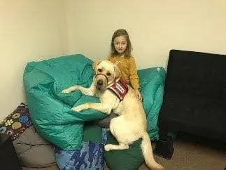 A young girl sits with Monty, a yellow Labrador Retriever wearing a service dog vest.