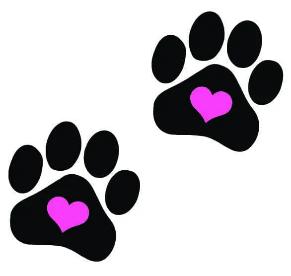 Two black paw prints, each with a pink heart on the pad