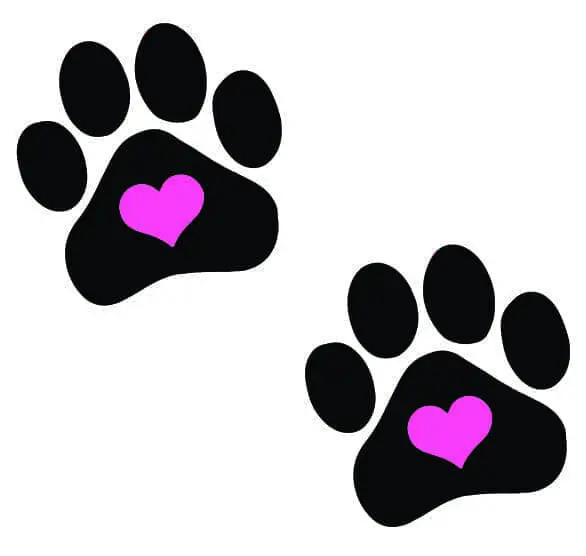 Two black paw prints with pink hearts inside on a white background.
