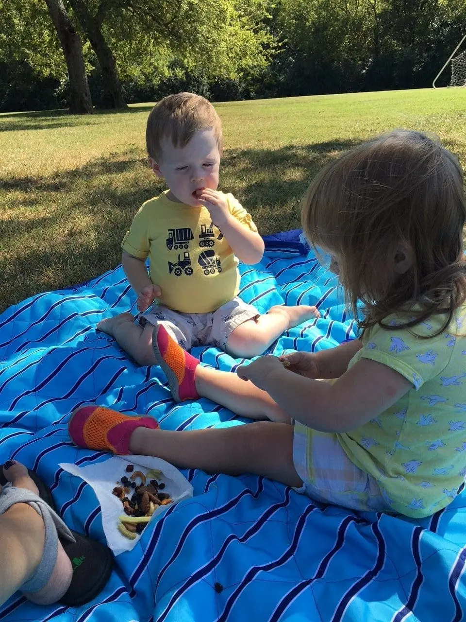 Two children sitting on a blue striped picnic blanket in a grassy park.