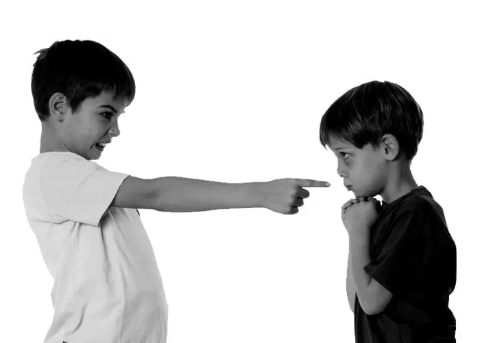 Two young boys, one pointing accusingly at the other.