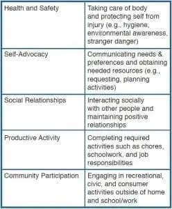 Table listing five goal areas: Health and Safety, Self-Advocacy, Social Relationships, Productive Activity, and Community Participation, with descriptions for each.