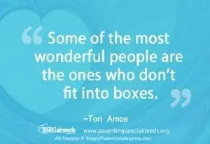 Quote by Tori Amos: "Some of the most wonderful people are the ones who don't fit into boxes.