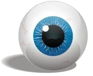 A cartoon eyeball with a blue iris and a black pupil.