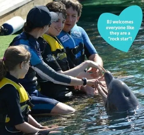 BJ smiles while reaching towards a dolphin with other people in the background.