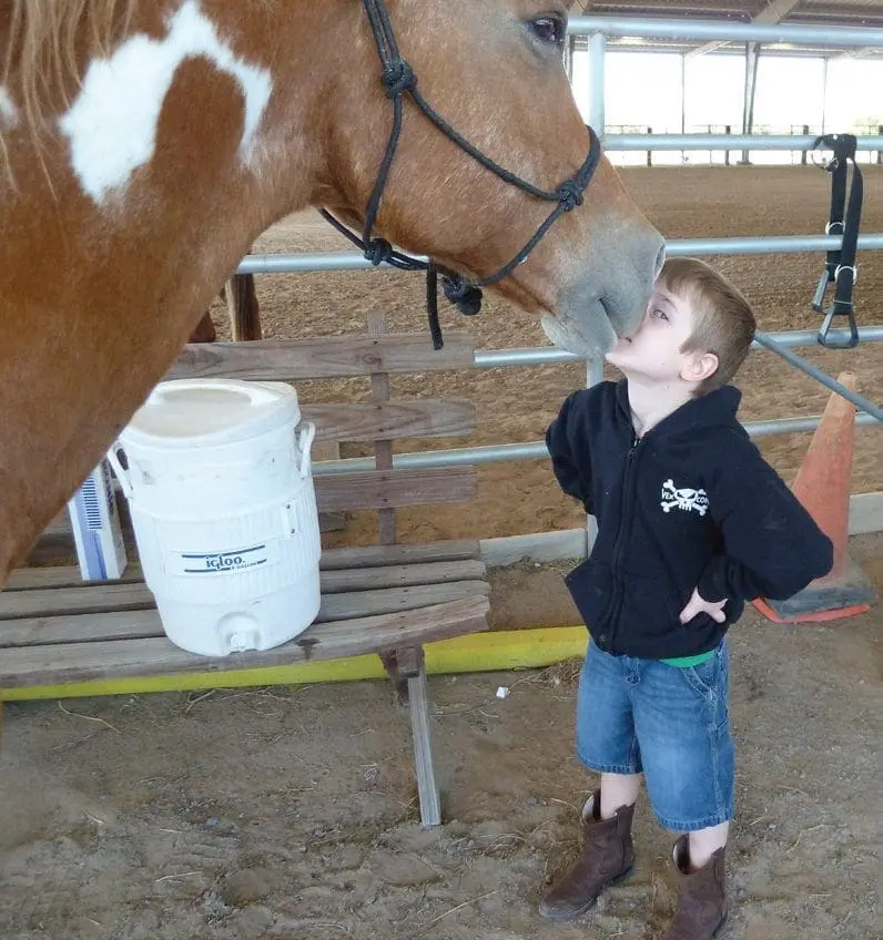 A boy in a black hoodie and denim shorts looks up at a brown and white horse.