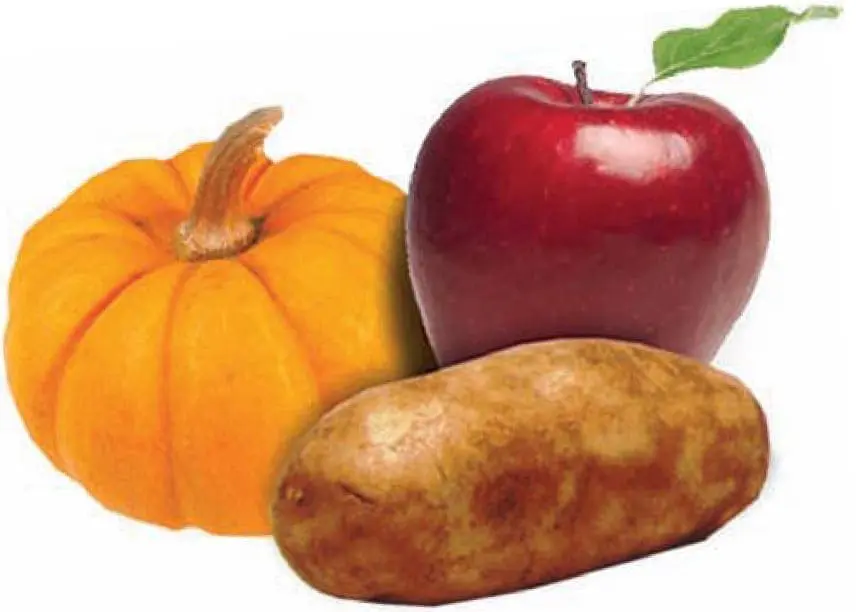 Small pumpkin, red apple, and potato.
