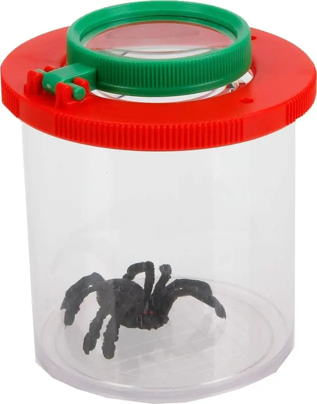 Magnifying container with a toy spider inside.
