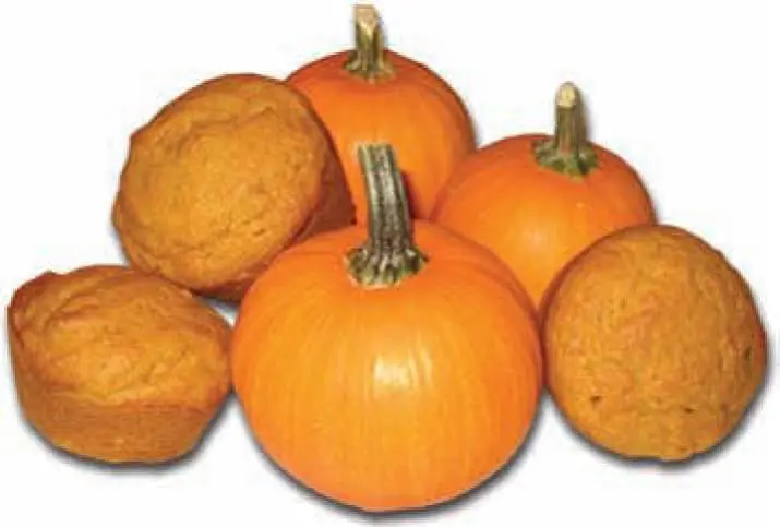 Several pumpkin muffins and small pumpkins are arranged together.