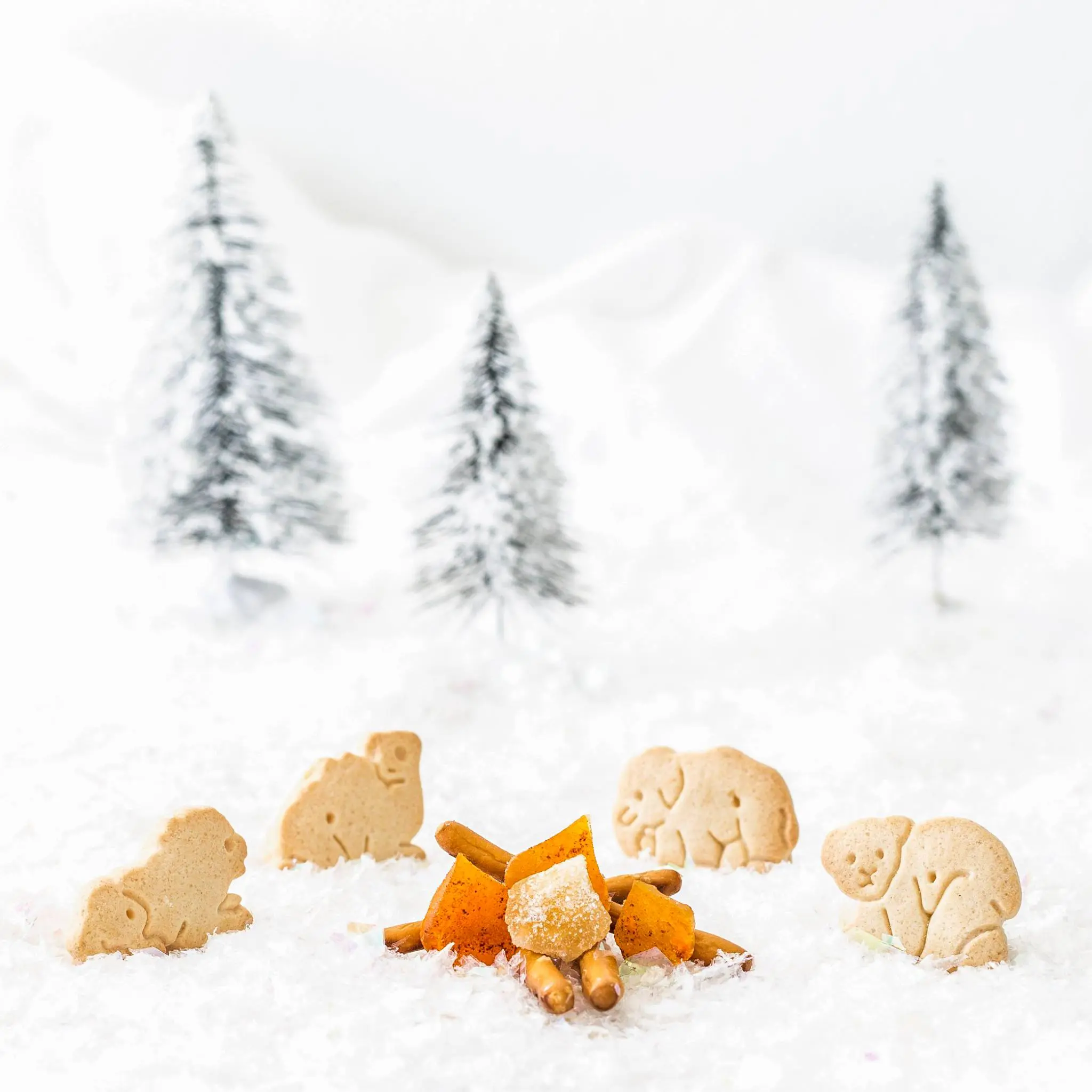 Animal-shaped cookies arranged in a snowy scene with frosted trees in the background.