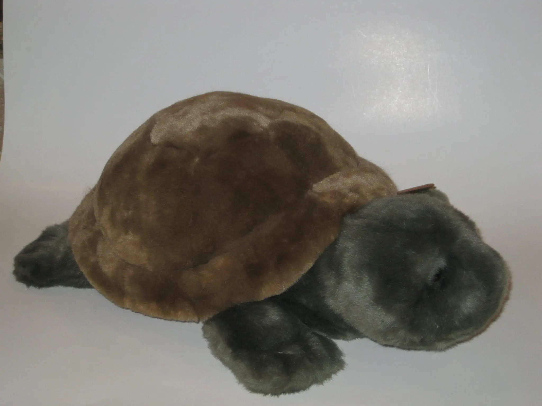 Plush turtle toy against a white background.