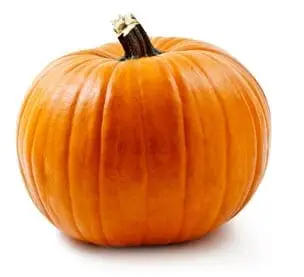 A bright orange pumpkin with a dark stem rests on a white background.