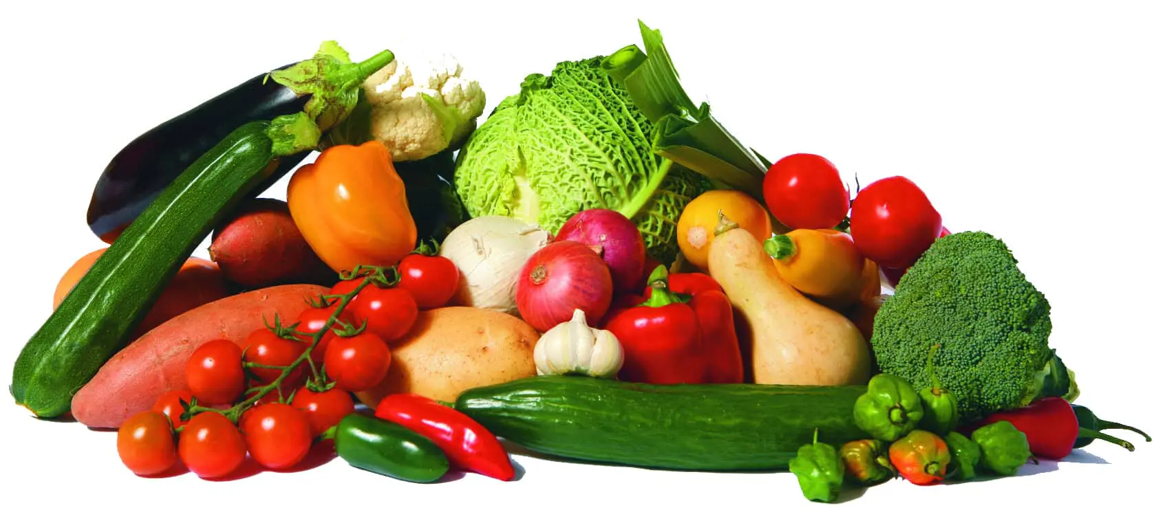 A pile of fresh vegetables including zucchini, tomatoes, peppers, broccoli, cabbage, and squash.