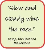 Slow and steady wins the race." - Aesop, The Hare and the Tortoise
