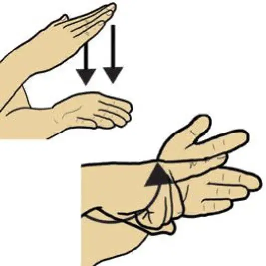 Illustration of two hands demonstrating a sign language gesture.