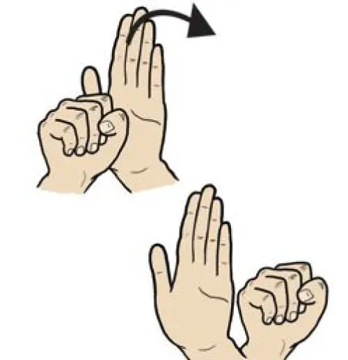 American Sign Language hands spelling 'September'.