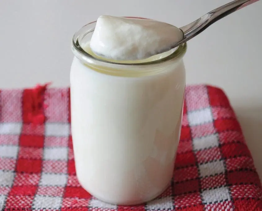 A spoonful of thick yogurt is held over a glass jar of yogurt.