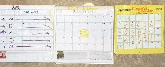 Family Positive Behavior Support calendars.