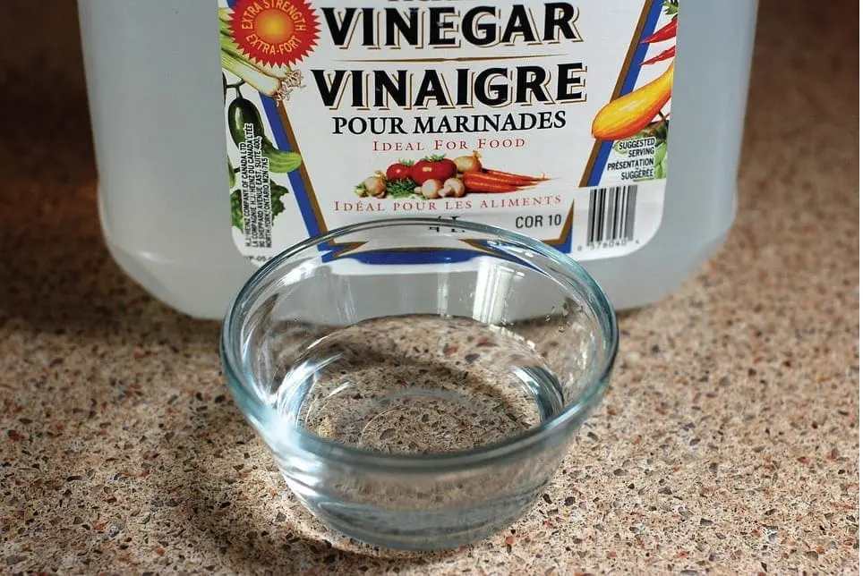 Large jug of vinegar with a small glass bowl of vinegar in front.