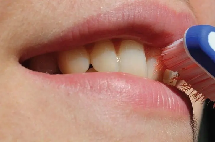 Close-up of teeth being brushed with a toothbrush.