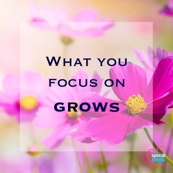 Pink cosmos flowers with text overlay "WHAT YOU FOCUS ON GROWS".